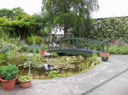 View of the pond